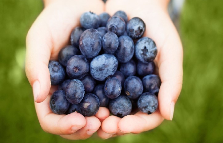 The Unwonted uses of Extract of Blueberry to Boost Cancer Therapy will Shock You