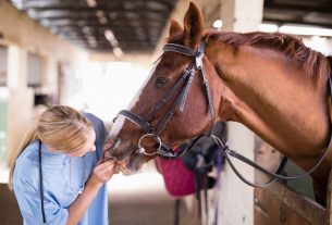 State Veterinarian Orders Quarantine of Infected Horse Facility