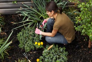 A Study Found Growing Up In Vegetation Can Improve Mental Health